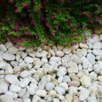 Guide créatif pour sélectionner un lustre unique et éclairer votre cuisine avec style