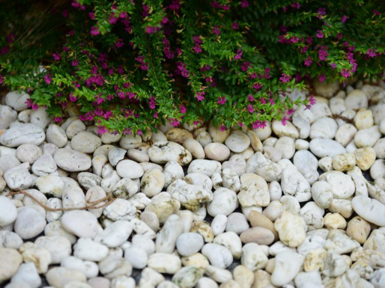 Jardin minéral sans entretien pour créer un espace zen et durable