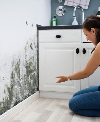 Humidité dans les murs que faire pour éliminer les problèmes efficacement