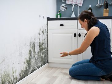 Humidité dans les murs que faire pour éliminer les problèmes efficacement